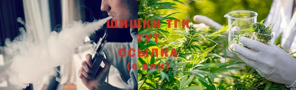шишки Нея