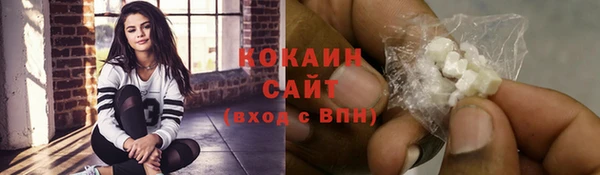 шишки Нея
