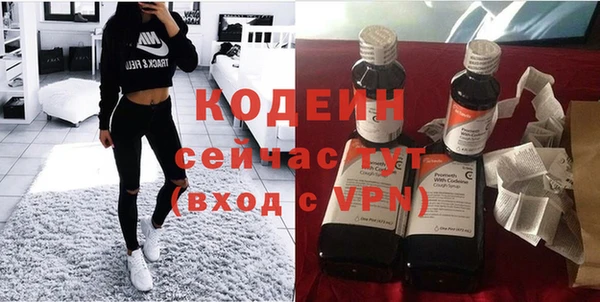 шишки Нея