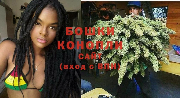 шишки Нея