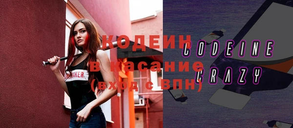 шишки Нея