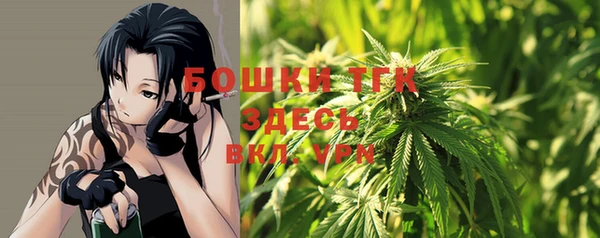 шишки Нея