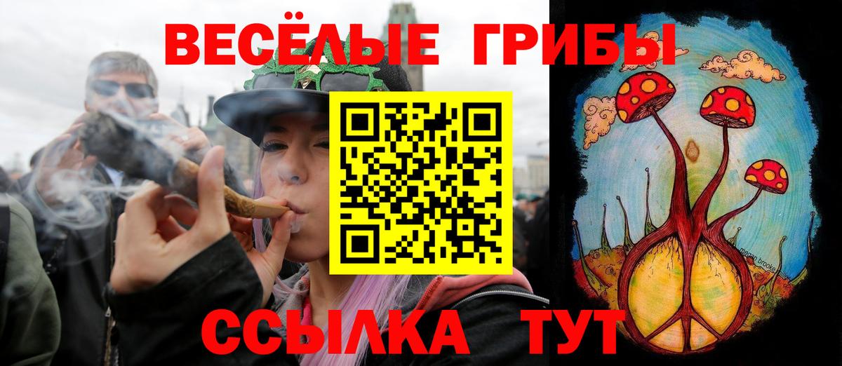 Усть-Кут  Псилоцибиновые грибы Magic Shrooms  Вход с VPN 