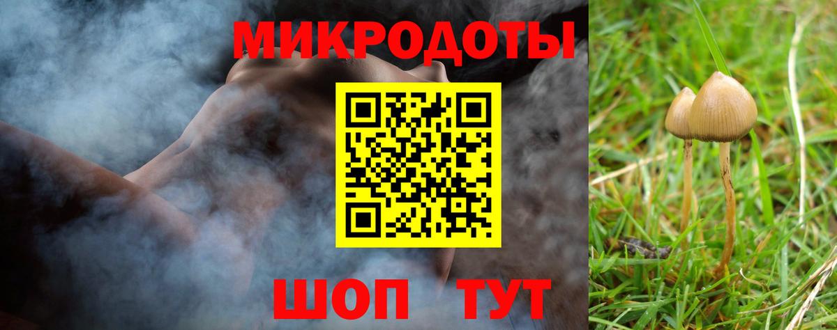 Псилоцибиновые грибы Cubensis Усть-Кут